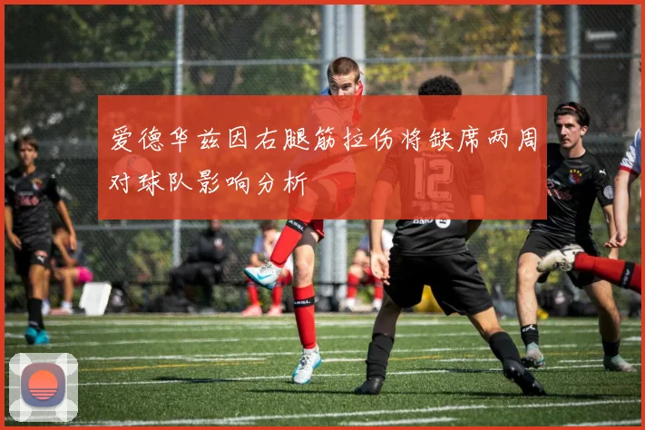 爱德华兹因右腿筋拉伤将缺席两周对球队影响分析