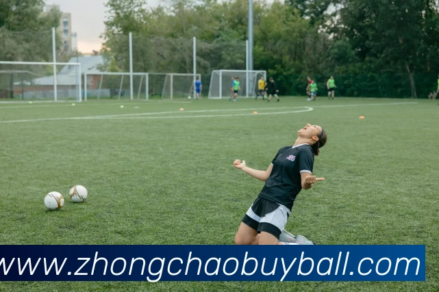 中超买球平台生态图